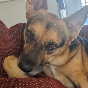 Meet your Posher, Ac